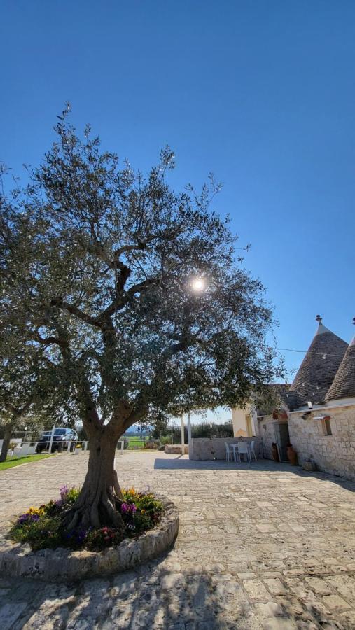 Casa Relax Isabelle Bed and Breakfast Alberobello Eksteriør billede