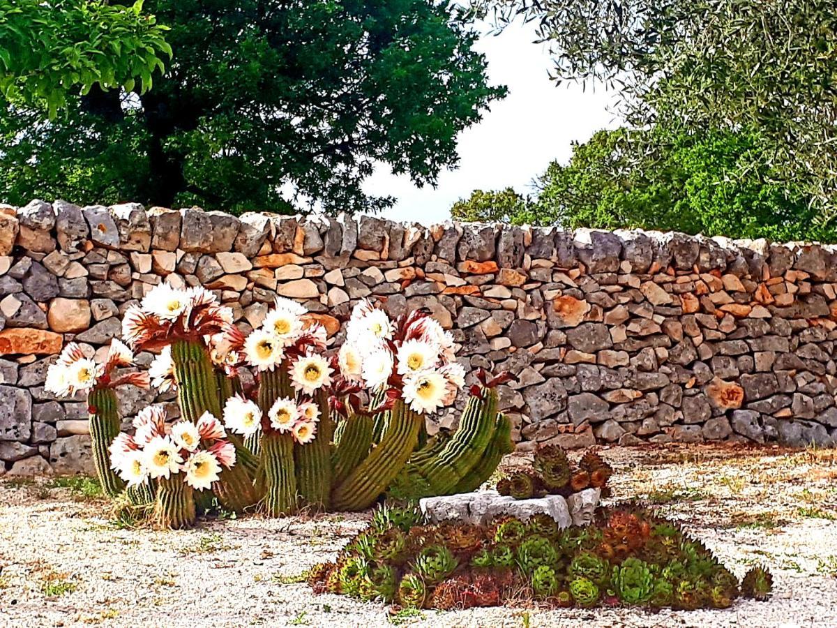 Casa Relax Isabelle Bed and Breakfast Alberobello Eksteriør billede